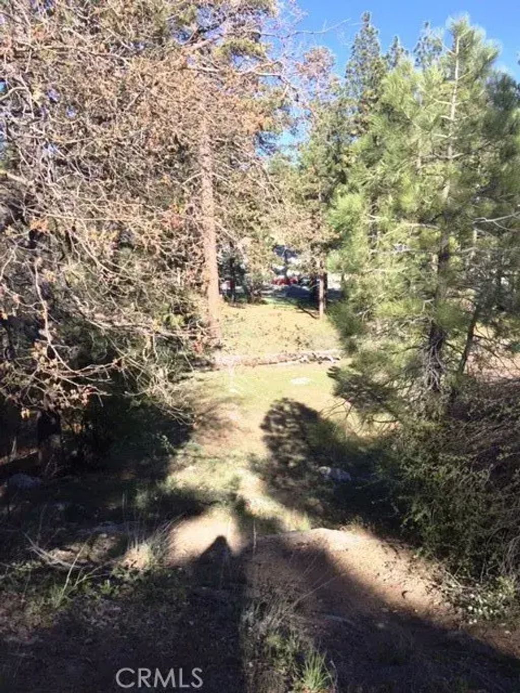 Talmadge, Big Bear