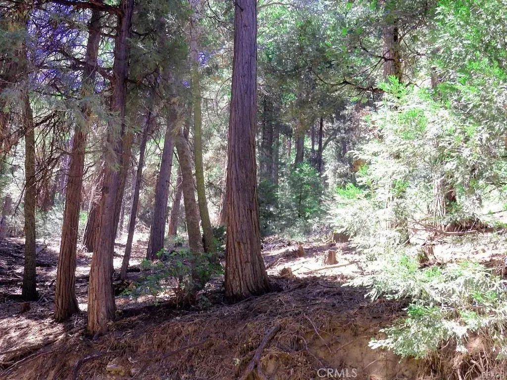 8 Mojave River, Cedarpines Park