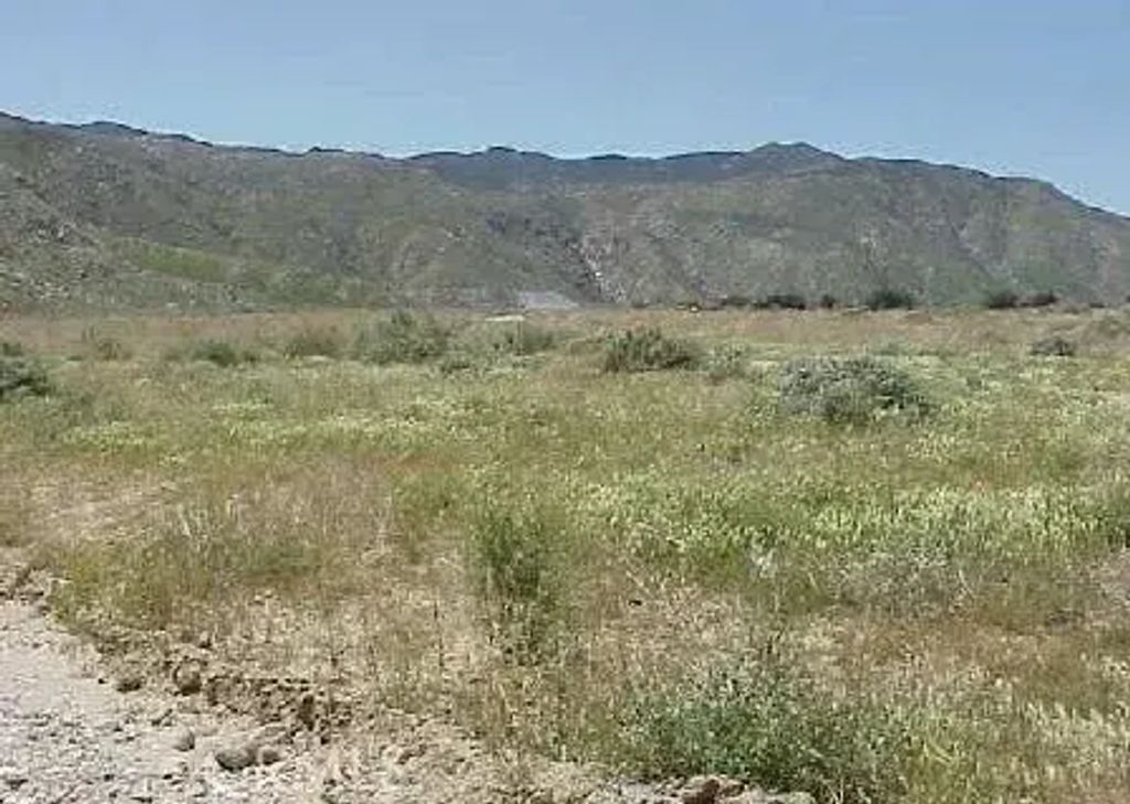 Almond, Cabazon