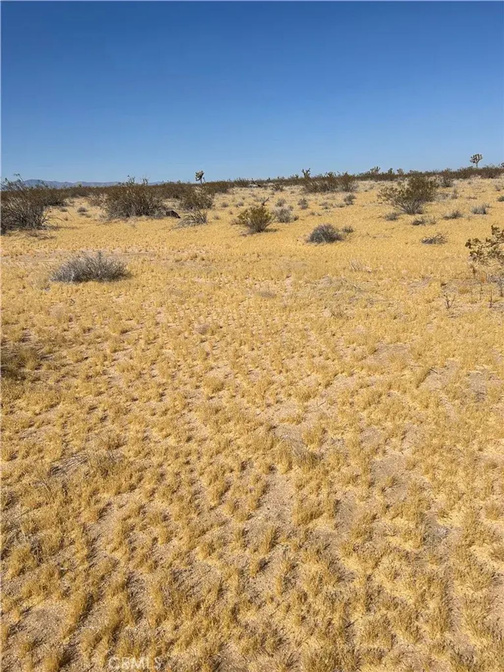 5 Mi N/o Shadow Mt, Adelanto