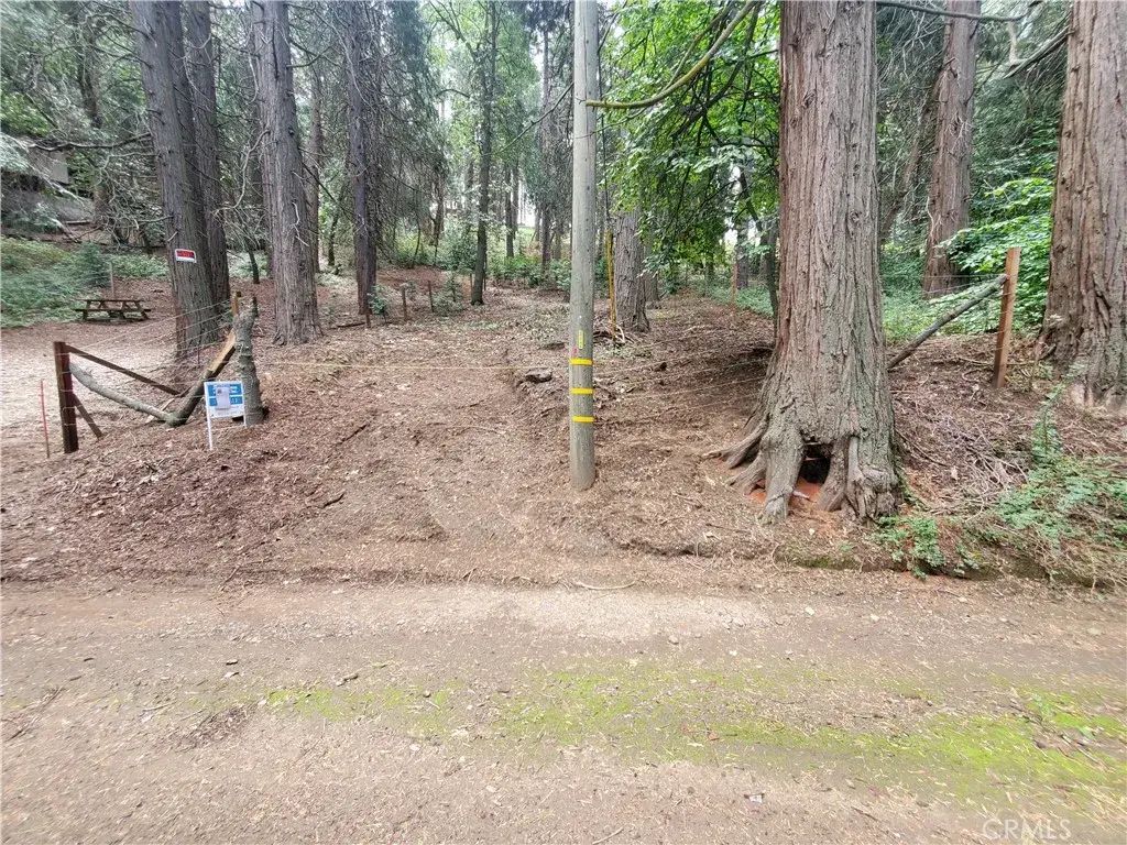 47 El Valle, Cedarpines Park