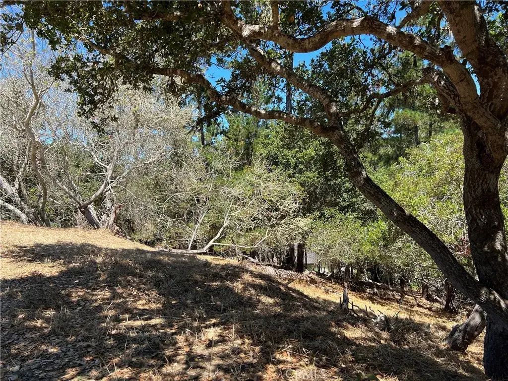 Melrose, Cambria