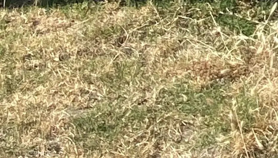 Vac/213 Ste Pav /vic Avenue X4, Llano