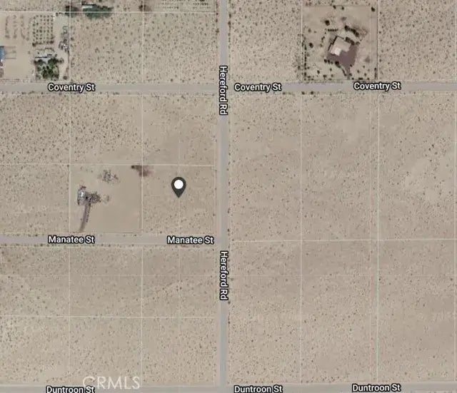 Manatee, Newberry Springs