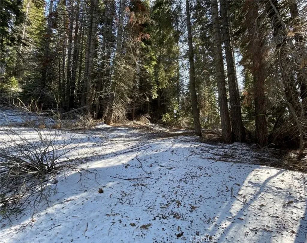 57793 Fawn, Springville