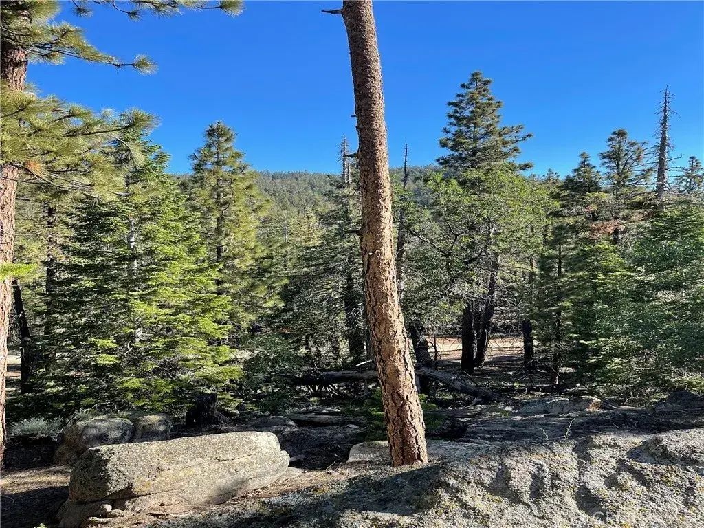 15328043 Piute Pines, Caliente
