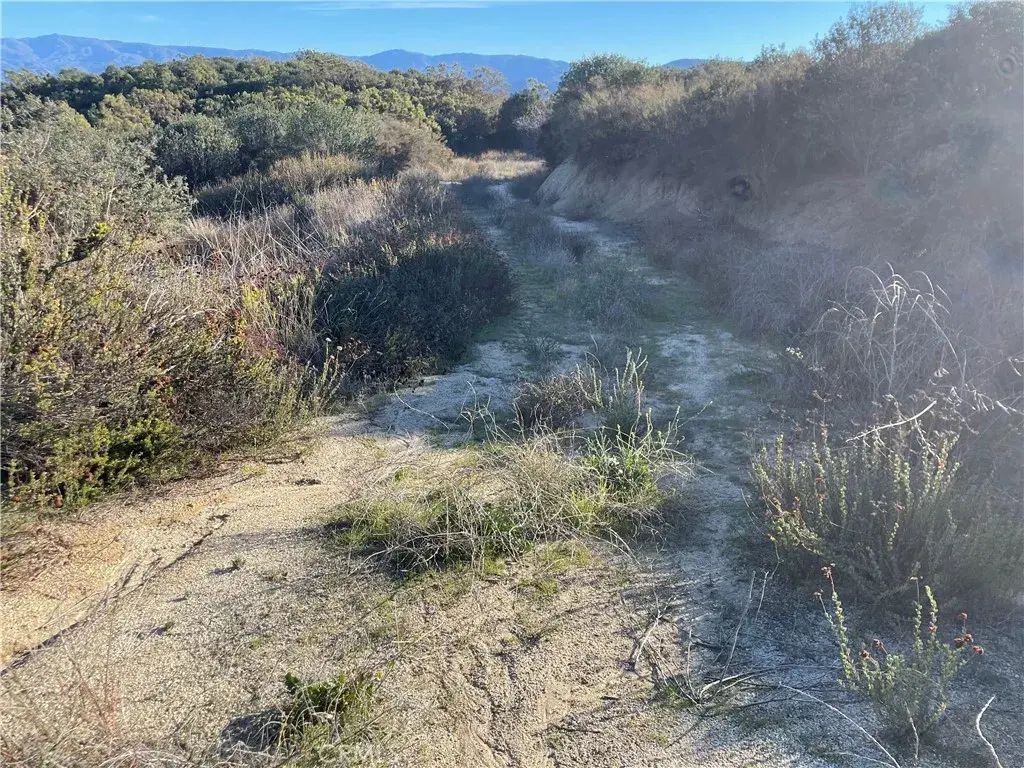 Denise, Temecula