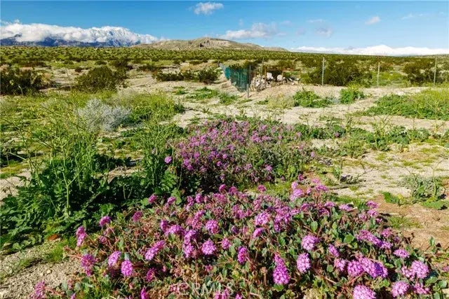 1 22nd Ave, Desert Hot Springs