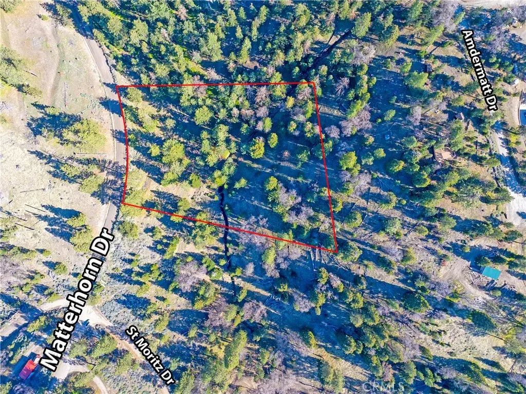 16701 Matterhorn, Alpine Forest
