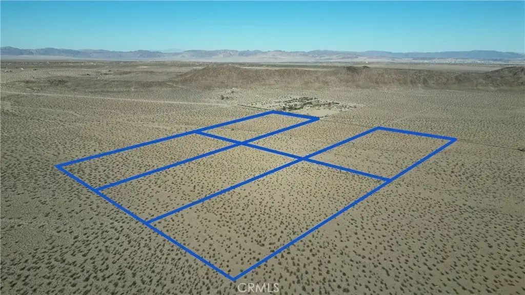 Sun Kist, Joshua Tree