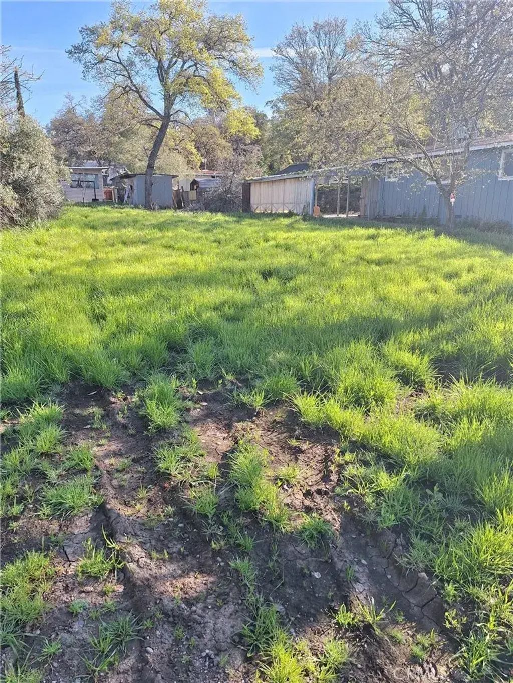 14608 Pearl, Clearlake