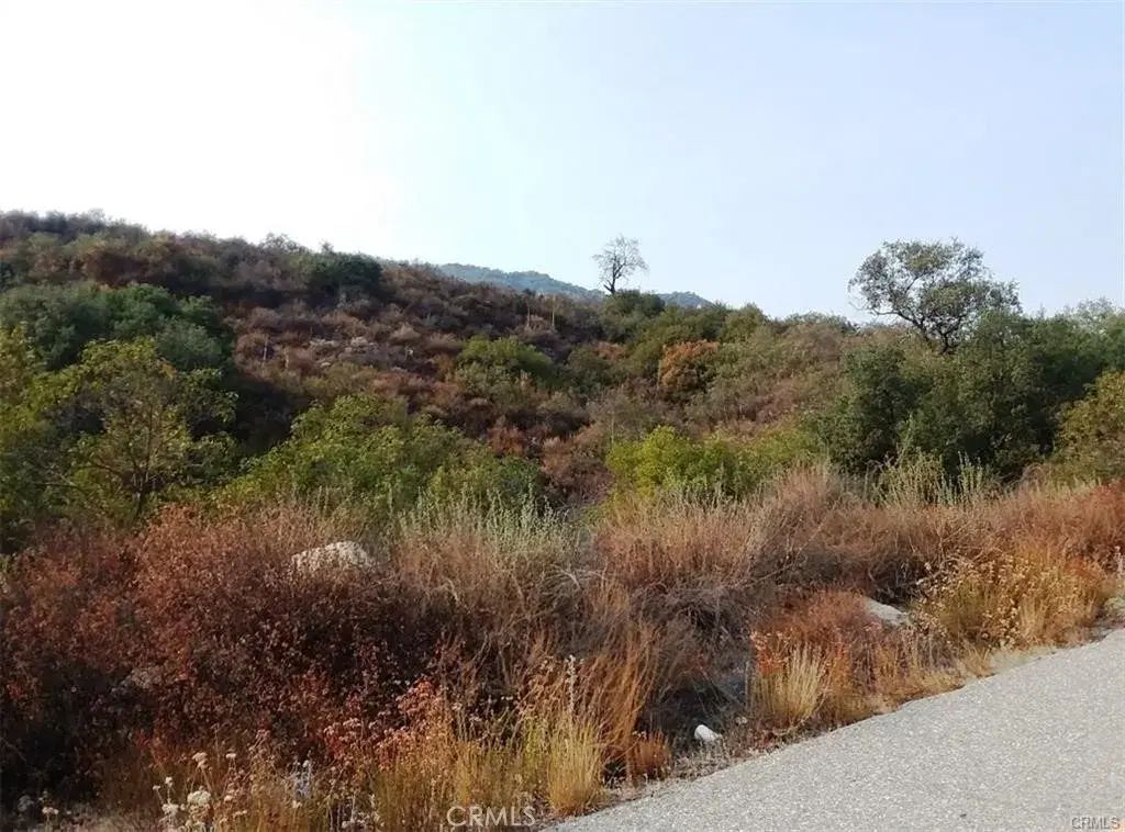 Carancho, Temecula