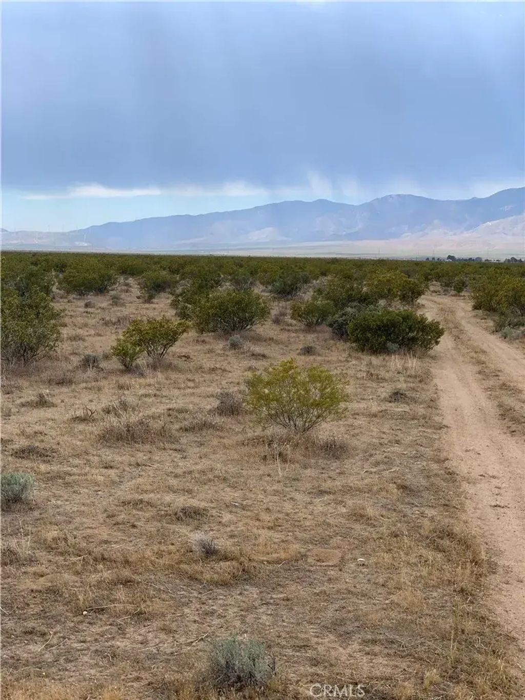 Maverick St, Mojave