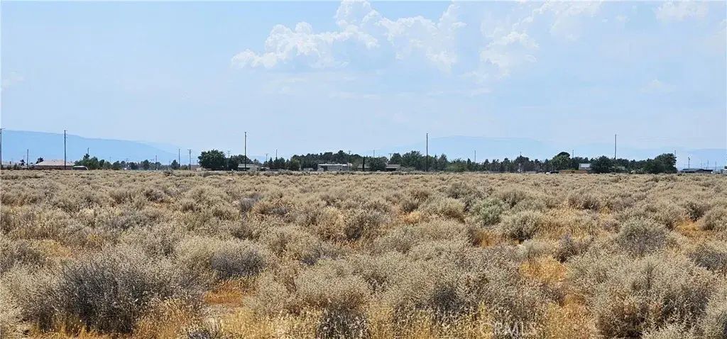 50th Street West, Rosamond