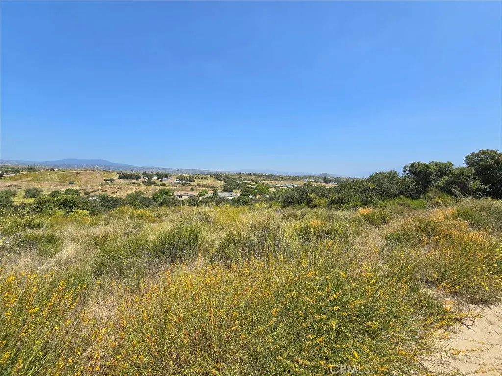 Bell Bluff Rd., Sage