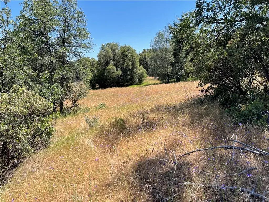 29 Boulder Creek, North Fork