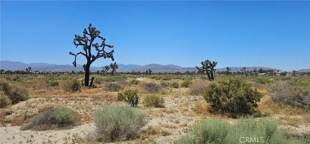 E Palmdale, Palmdale