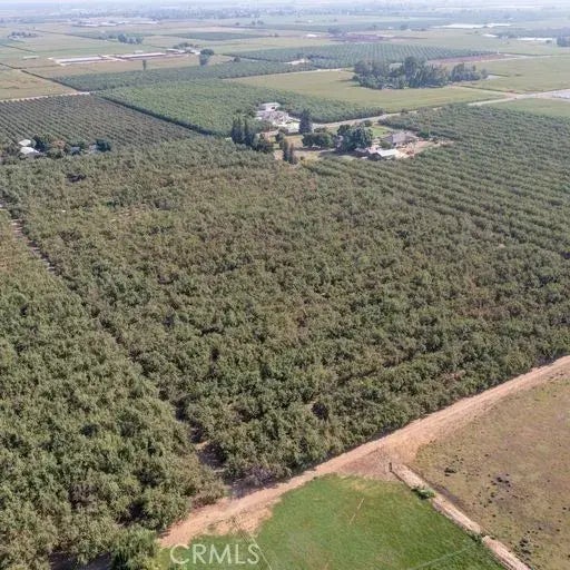 21375 Turner, Hilmar