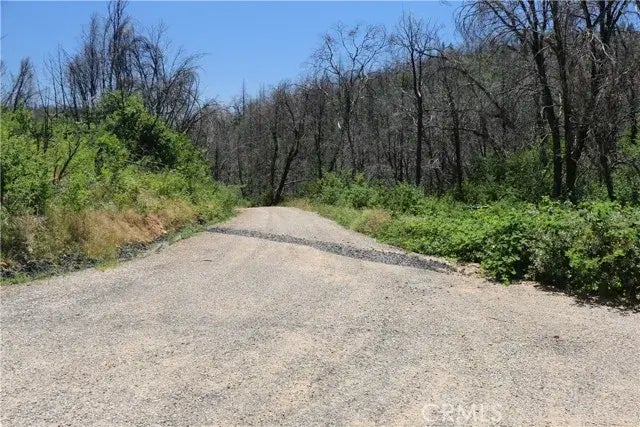 169 Fair Weather, Berry Creek