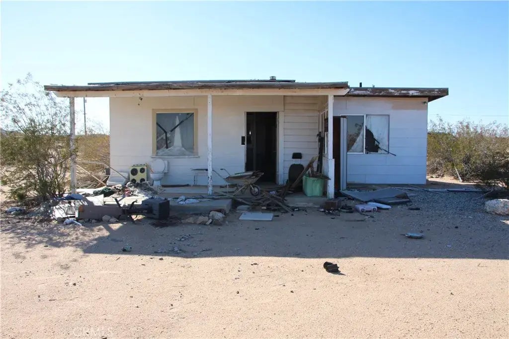 Mt. Shasta, Joshua Tree