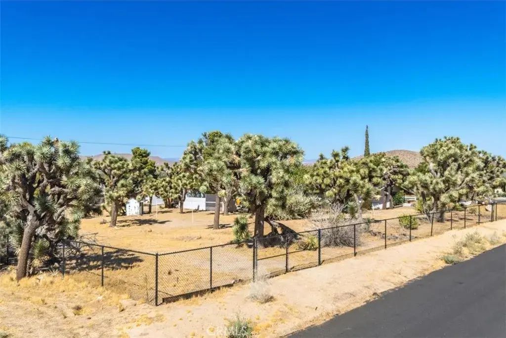 Hidden Gold, Yucca Valley