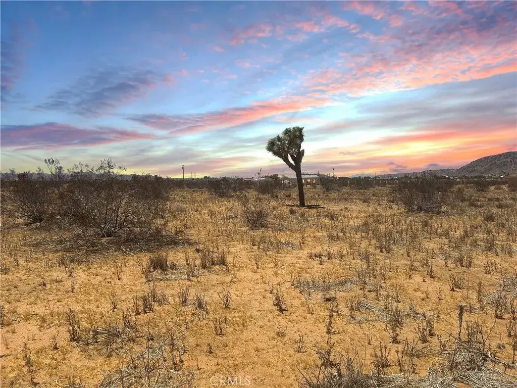 Kuna, Yucca Valley