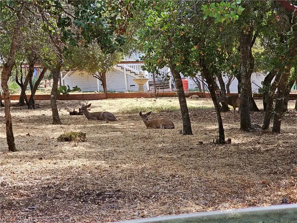 9717 Mount Hood, Kelseyville