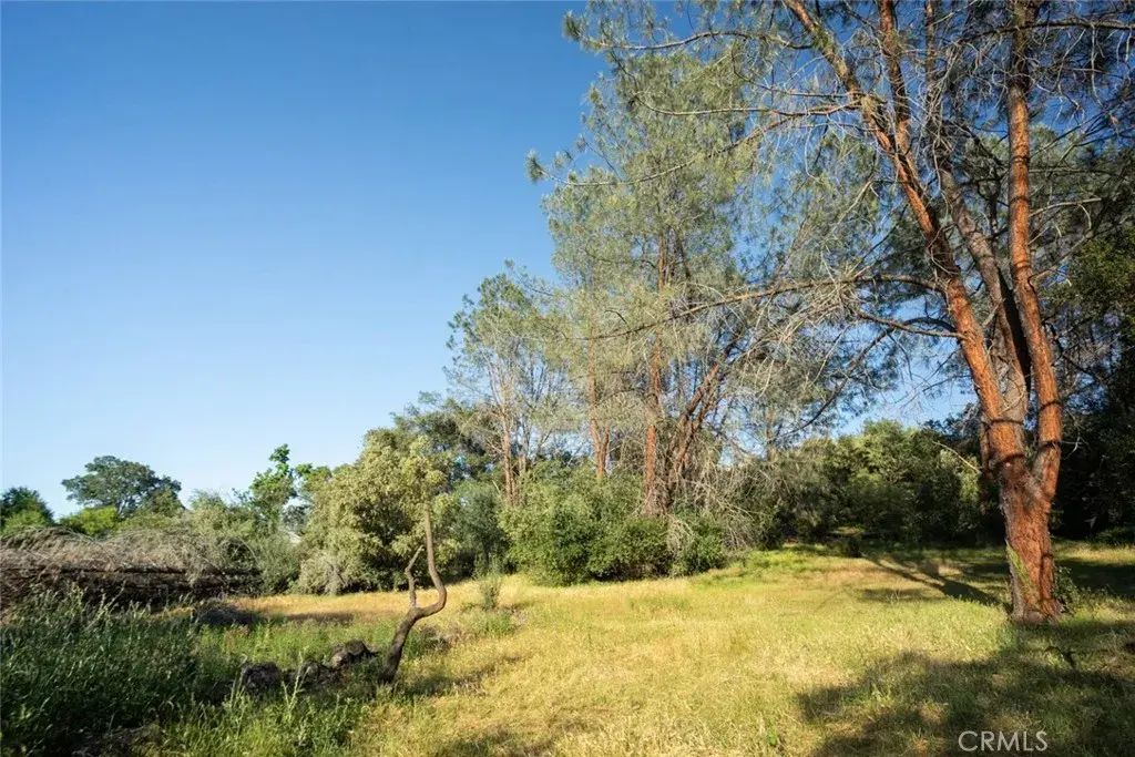 Pinedale, Oroville