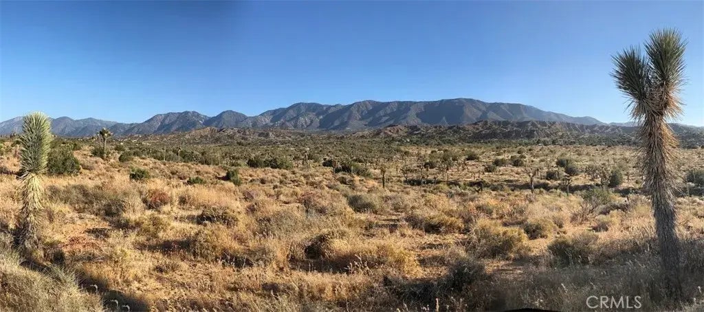 11640 Fort Tejon, Pearblossom