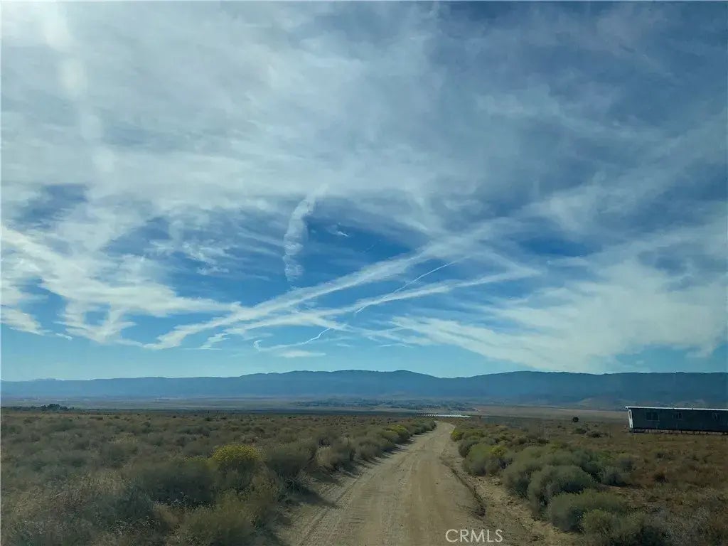 Vecinity Of 255th W. & Patterson, Rosamond