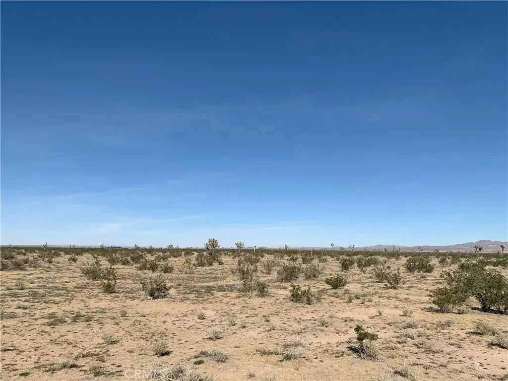 Desoto, Adelanto