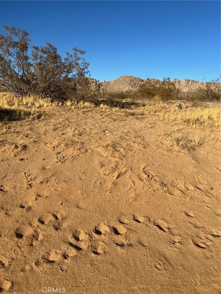 Jackson Rd., Apple Valley