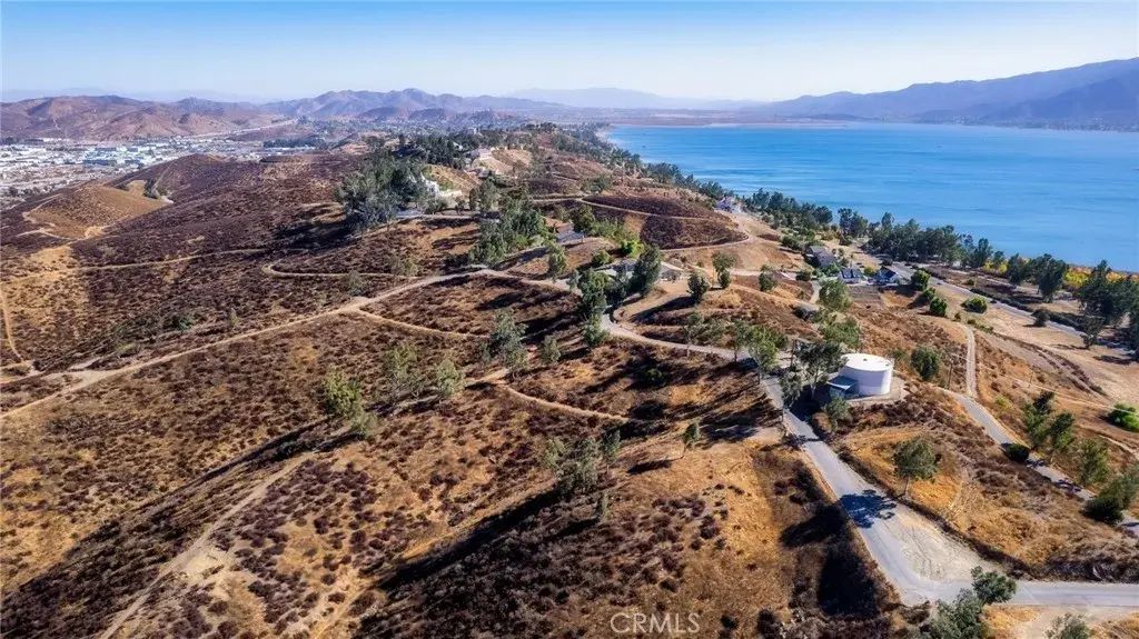 Locust, Lake Elsinore