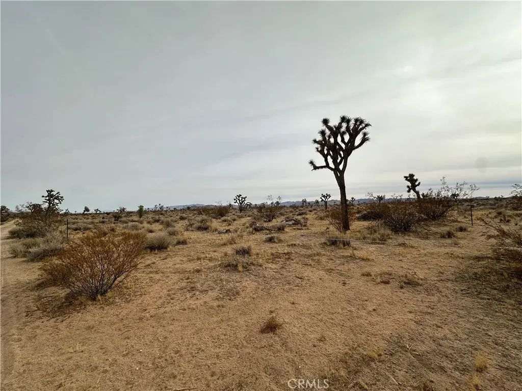 Canterbury, Yucca Valley