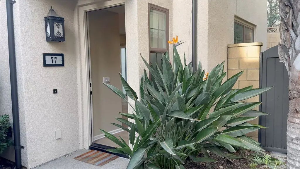 77 Painted Trellis, Irvine