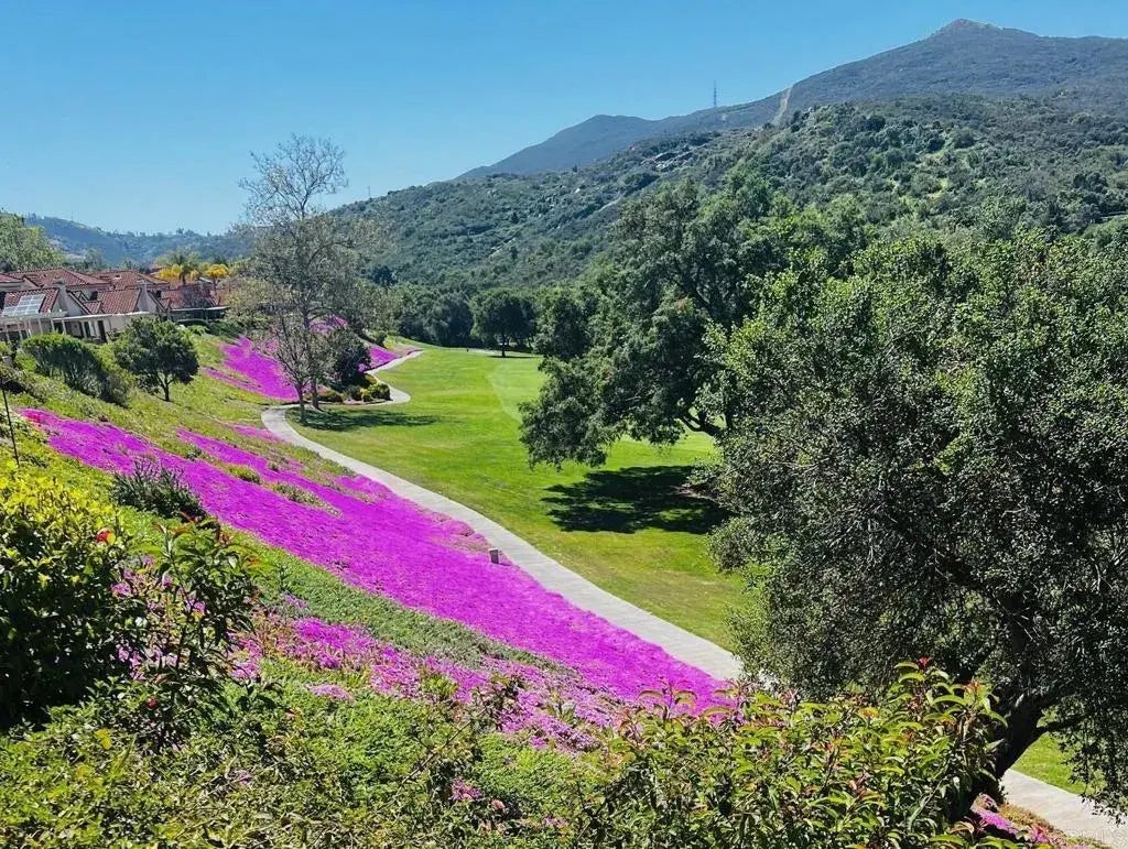 29158 Laurel Valley Dr, Vista