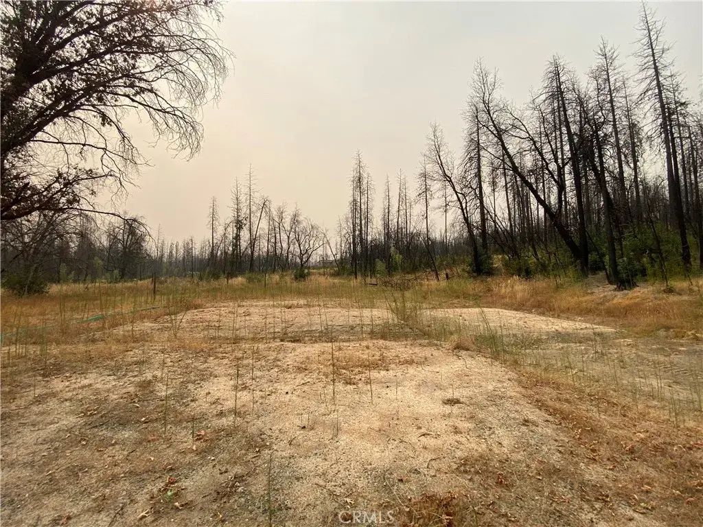 Simpson Ranch, Berry Creek