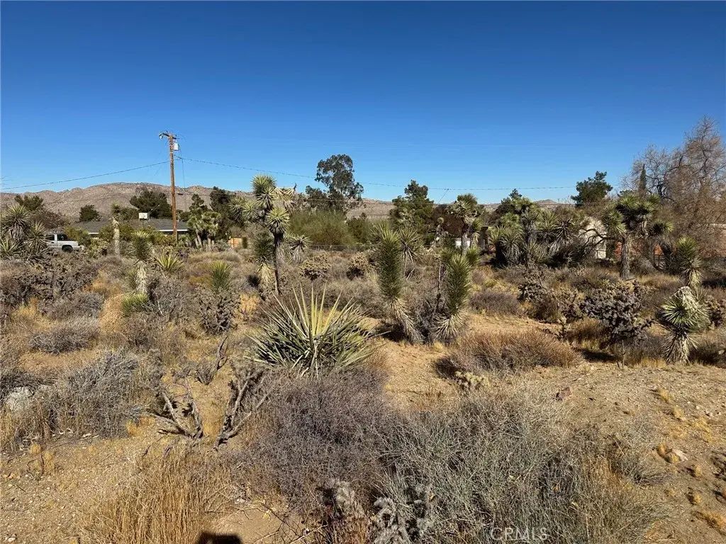 56434 Desert Gold, Yucca Valley