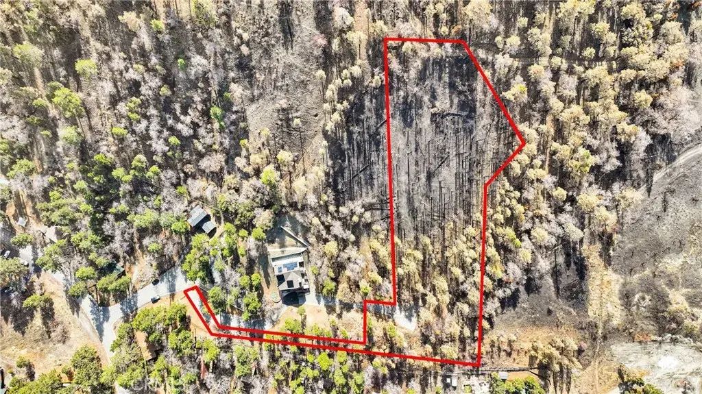 Logwood, Wrightwood