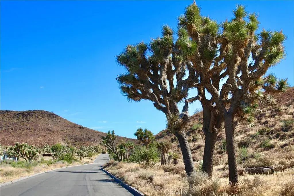 56448 Skyline Ranch, Yucca Valley
