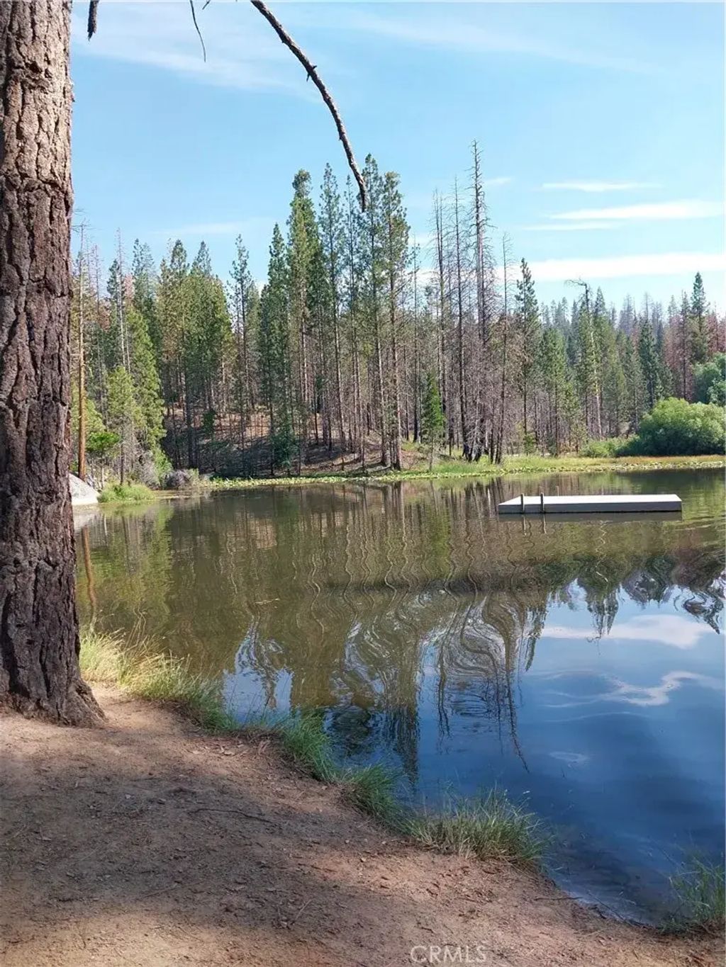 Tamarack Trail, North Fork
