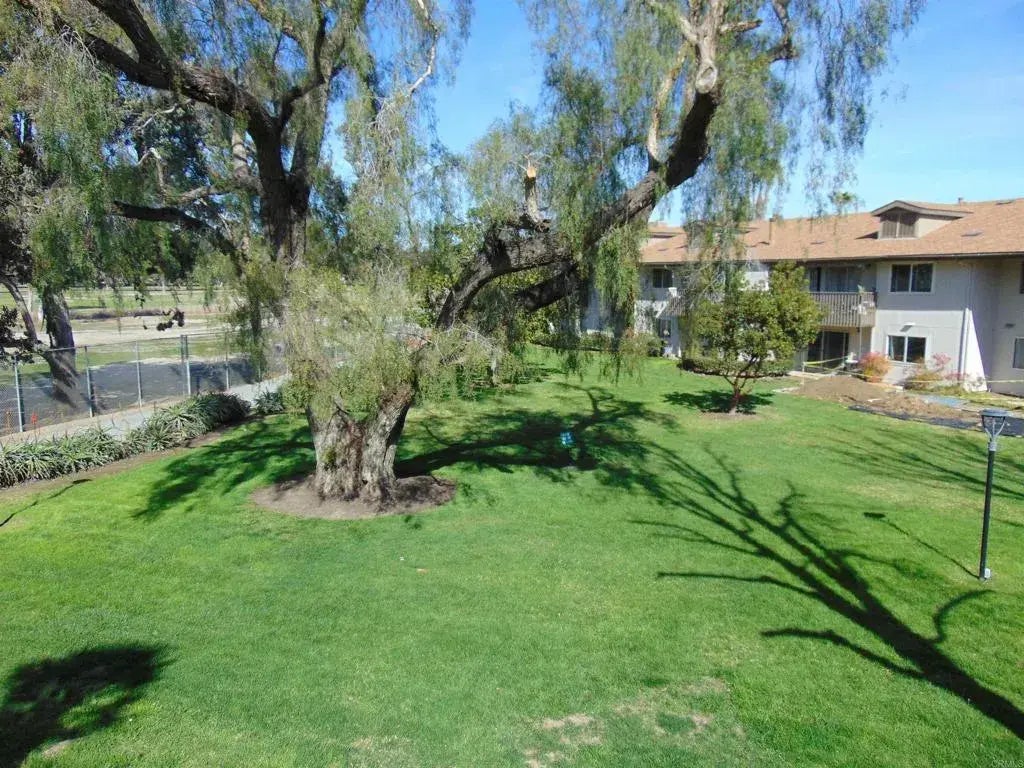 4095 Bonita Road 229, Bonita