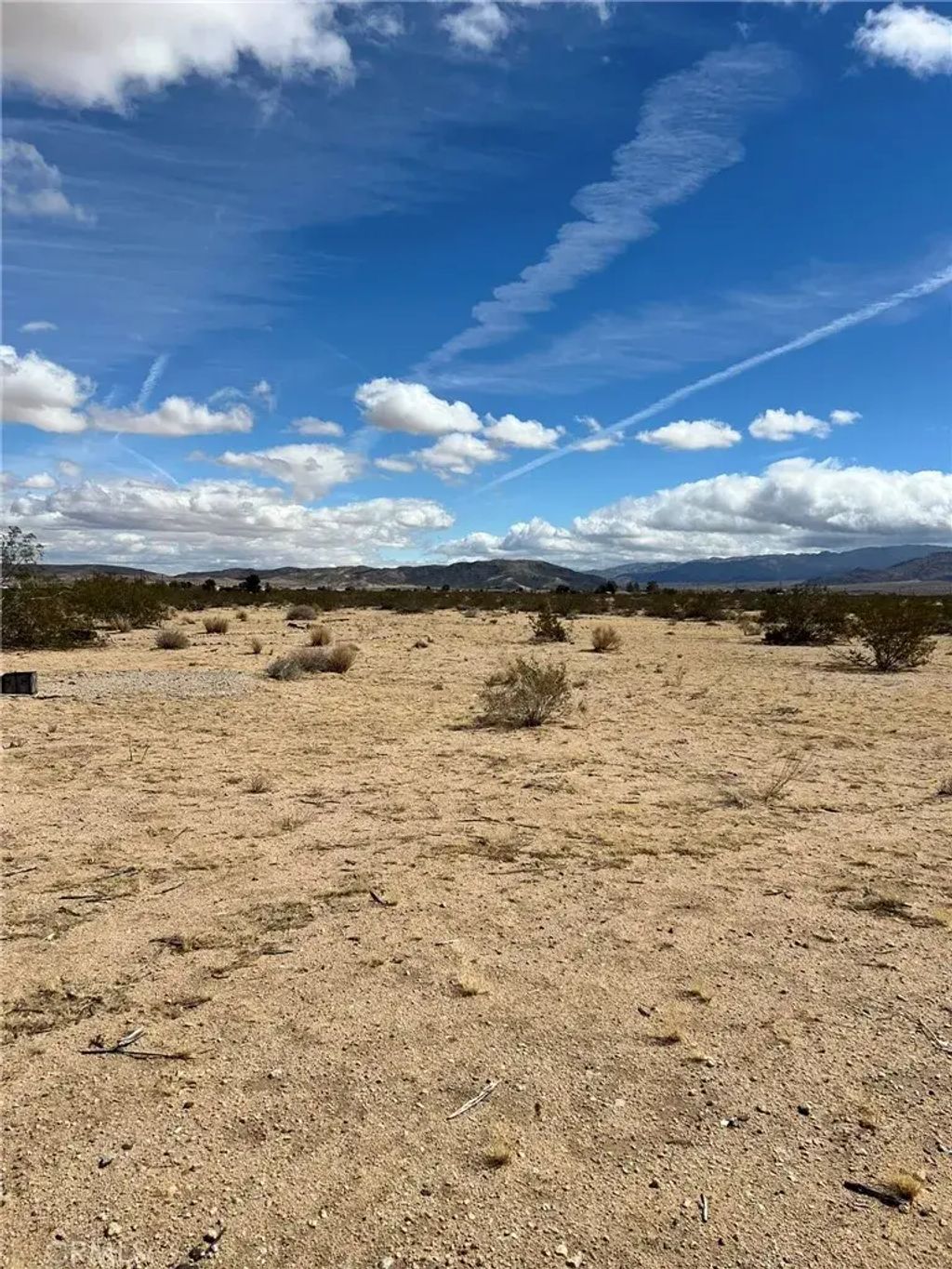 California, Joshua Tree