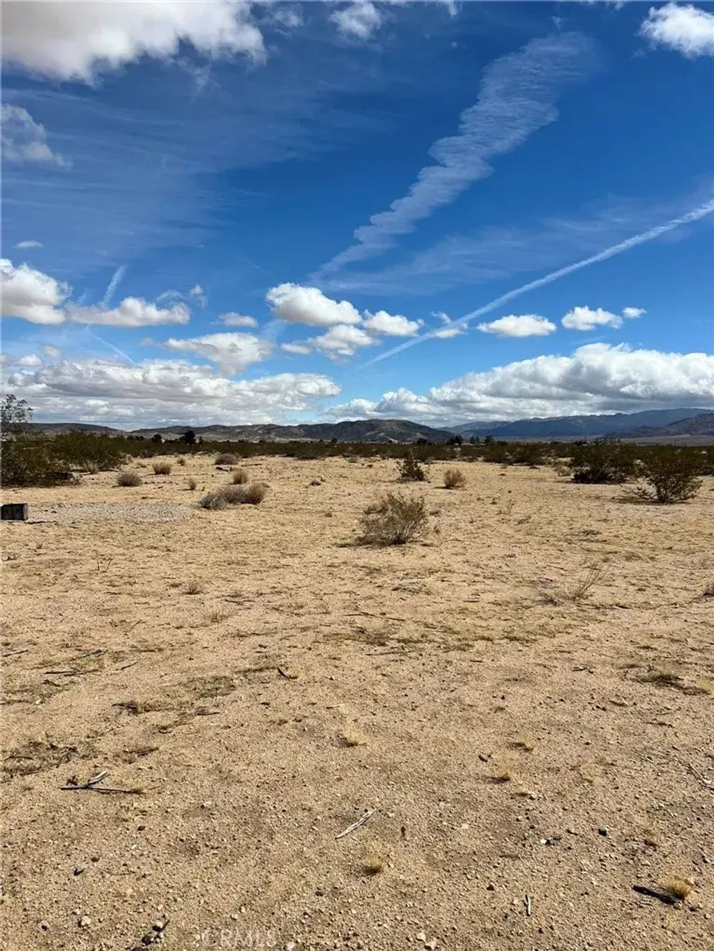 California, Joshua Tree
