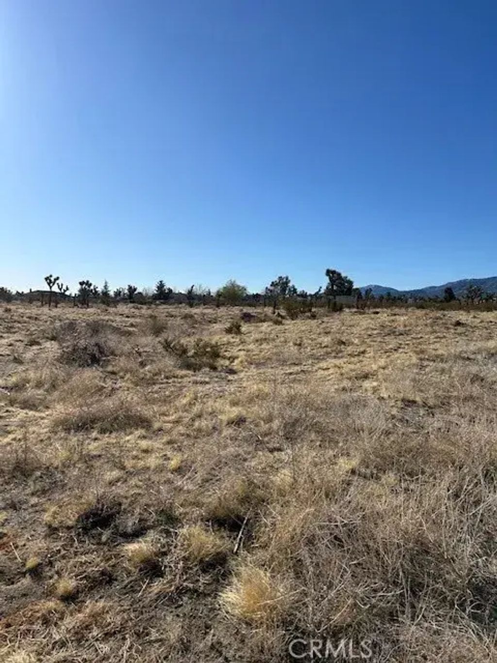 Pinon Hills Rd, Pinon Hills