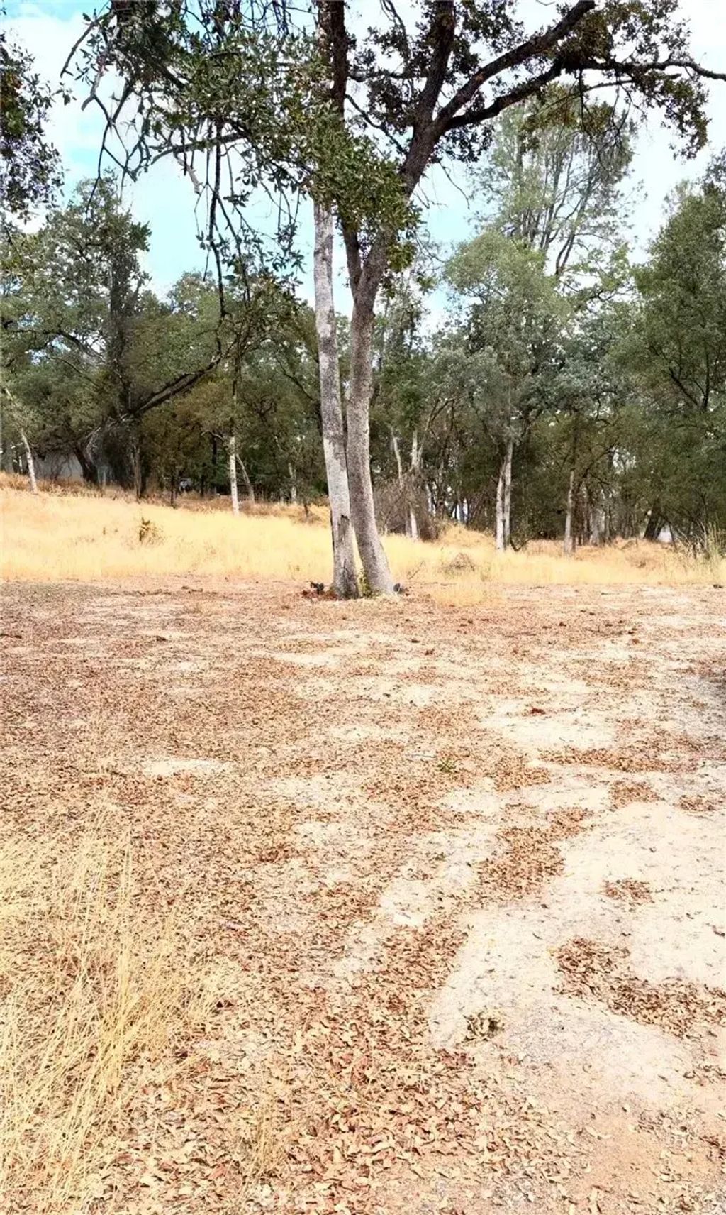 3885 Rosey, Placerville