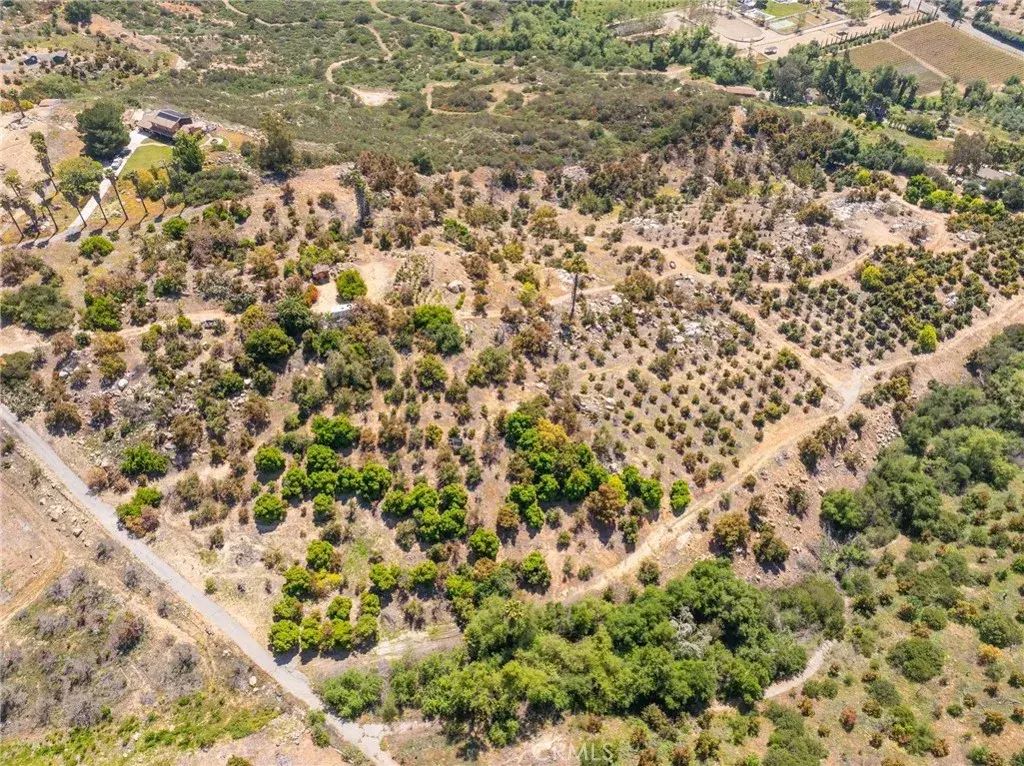 Las Palmeras Drive, Temecula