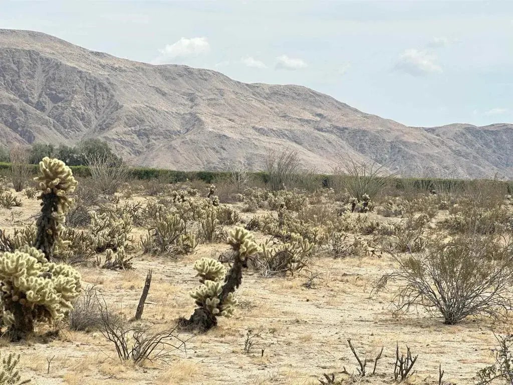 Indian Head Ranch, Borrego Springs