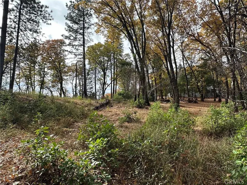 Bunker Hill Mine Rd, Yankee Hill