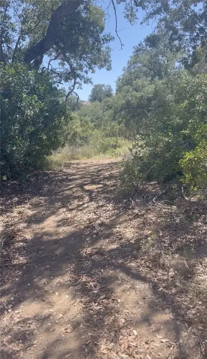 Mother Grundy Truck, Jamul